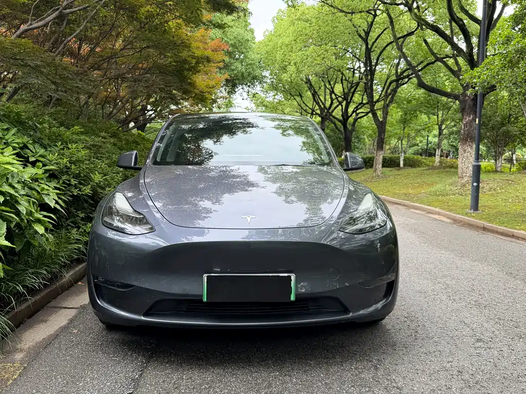 Tesla Model Y 2021 — фото 2