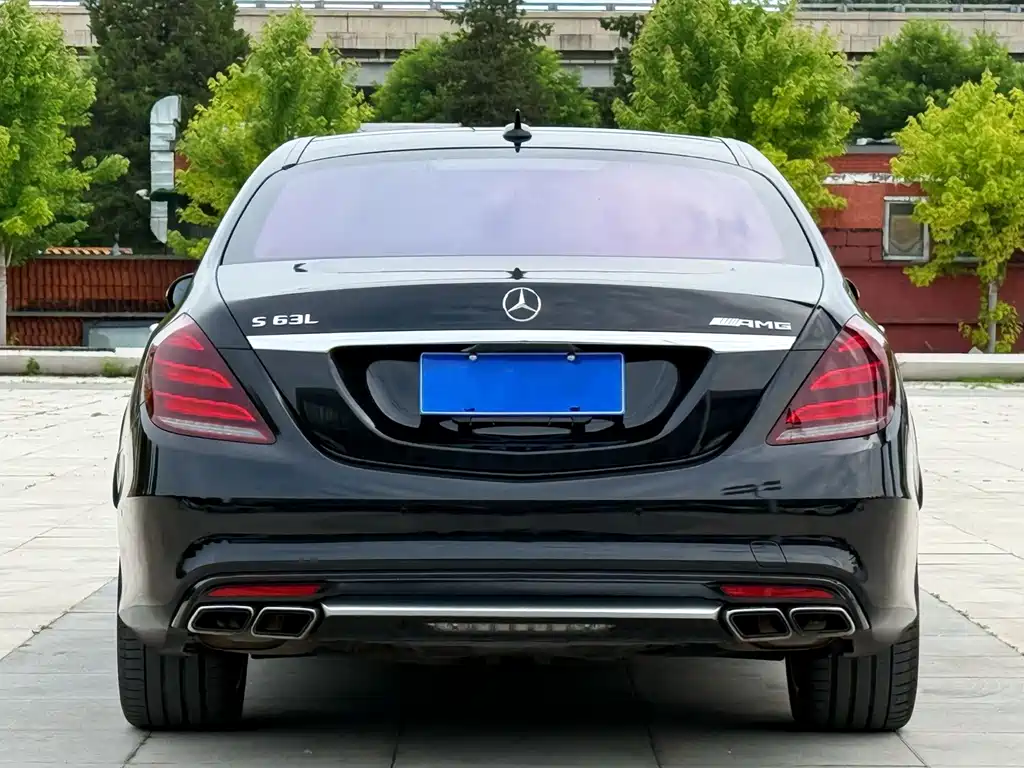 Mercedes-Benz S-Class AMG 2016 — фото 5