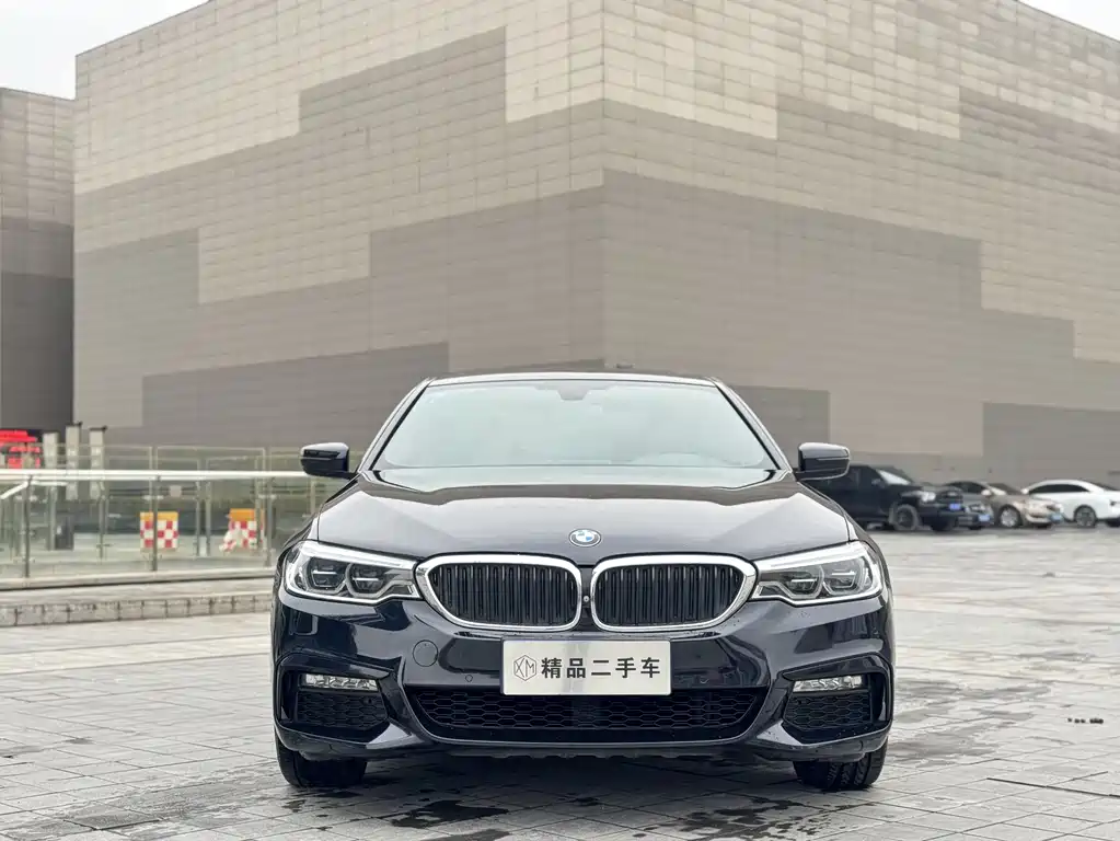 BMW 5 Series 2017 — фото 2