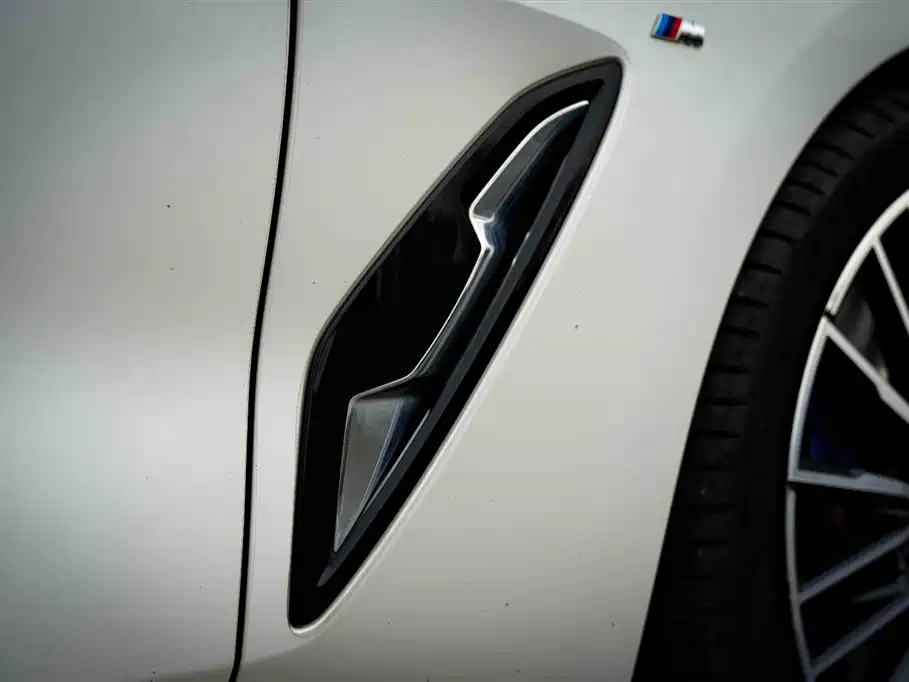 BMW 8 Series 2021 — фото 13