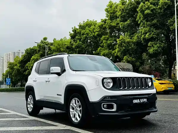 Jeep Freeman 2017