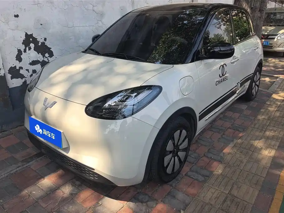 Wuling Bingo 2024