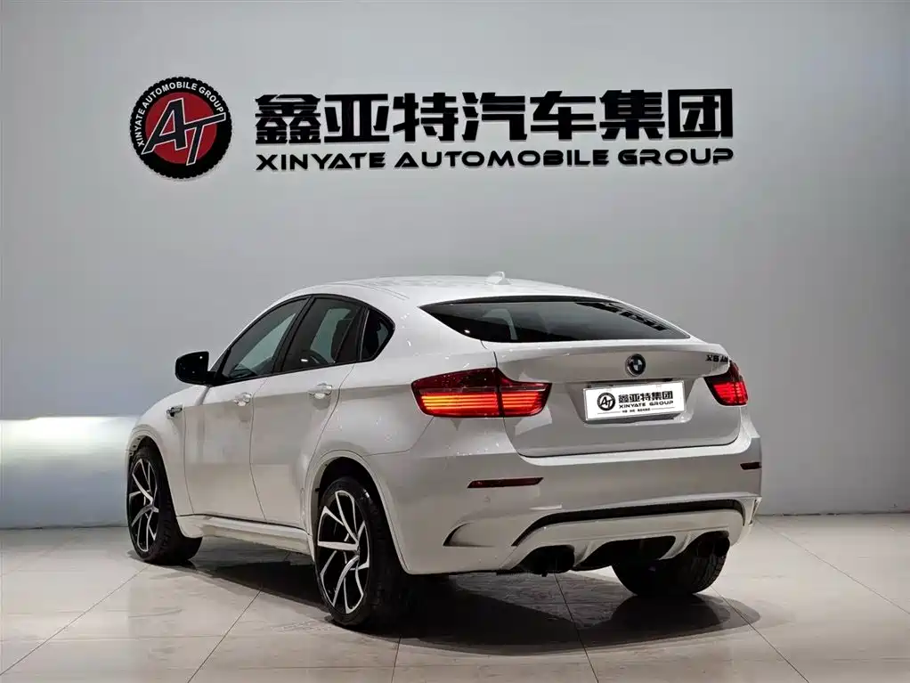 BMW X6 M 2010 — фото 5
