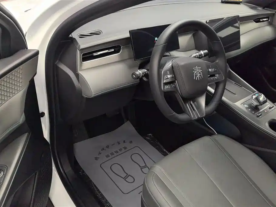 BYD Qin PLUS 2025 — фото 12