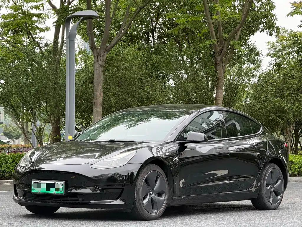 Tesla Model 3 2022