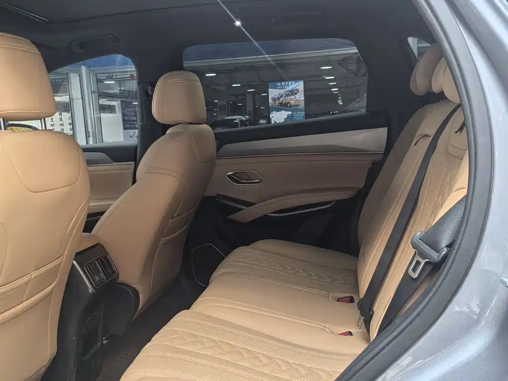 BYD L DM-i 2025 — фото 9