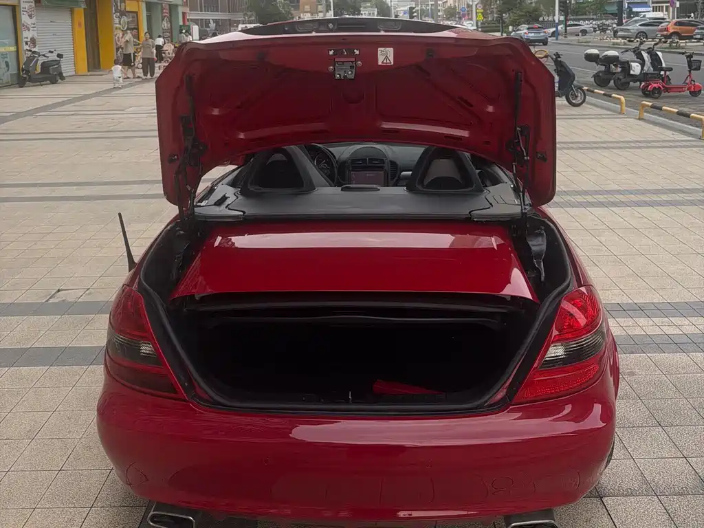 Mercedes-Benz SLK-Class 2010 — фото 14