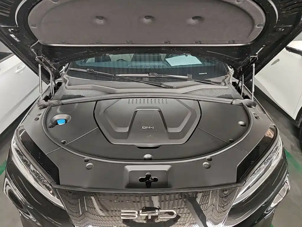 BYD Song PLUS New Energy 2024 — фото 20