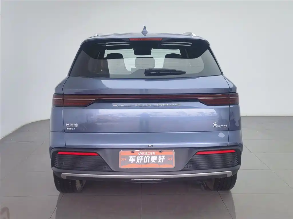 BYD Pro New Energy 2023 — фото 4