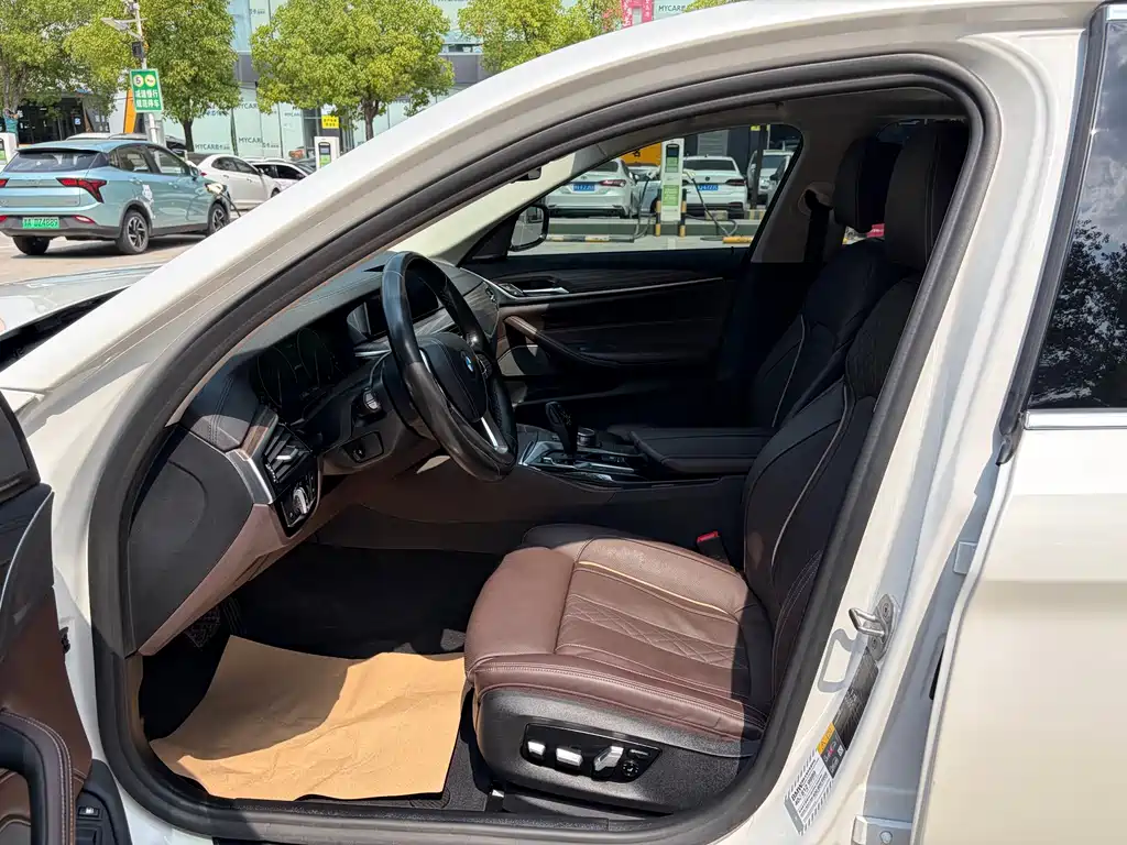 BMW 5 Series New Energy 2019