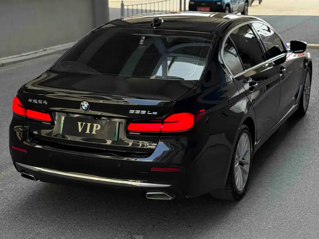 BMW 5 Series New Energy 2021