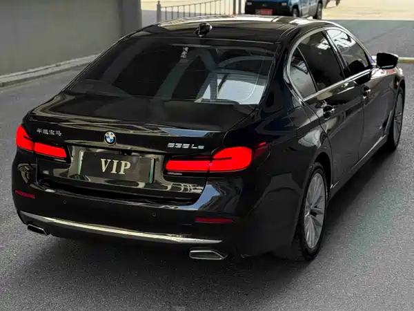 BMW 5 Series New Energy 2021