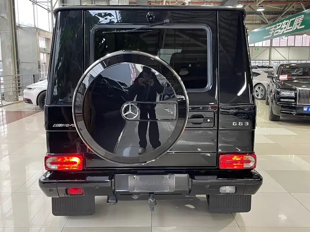 Mercedes-Benz G-Class AMG 2016 — фото 17