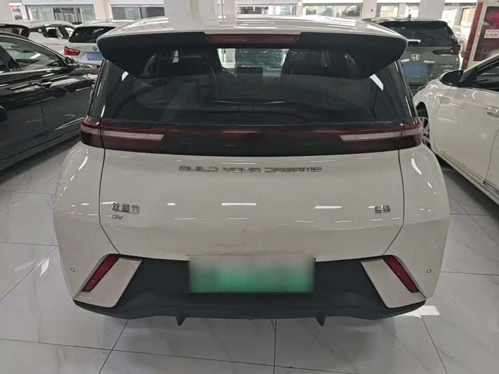 BYD Seagull 2024