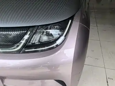 BYD Dolphin 2022