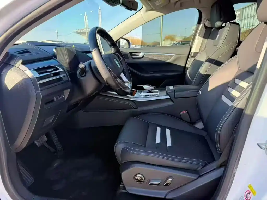 BYD Qin Pro NEV 2019 — фото 4
