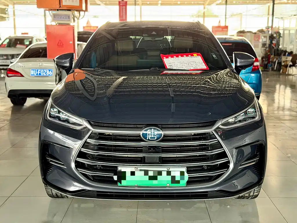 BYD Tang New Energy 2021 — фото 2