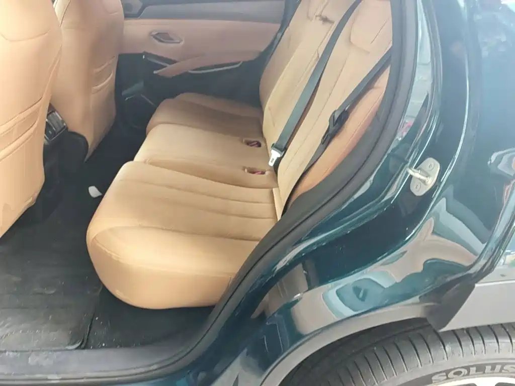 BYD L DM-i 2024 — фото 17