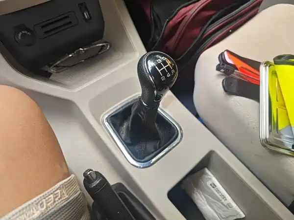 Dongfeng Lingzhi 2019