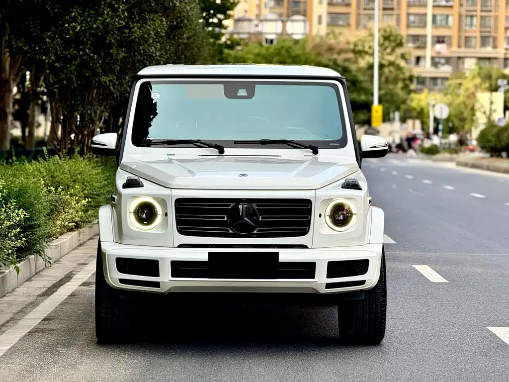 Mercedes-Benz G-Class 2021 — фото 1