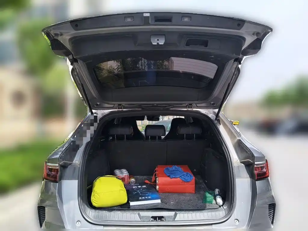 BYD PLUS New Energy 2021 — фото 10