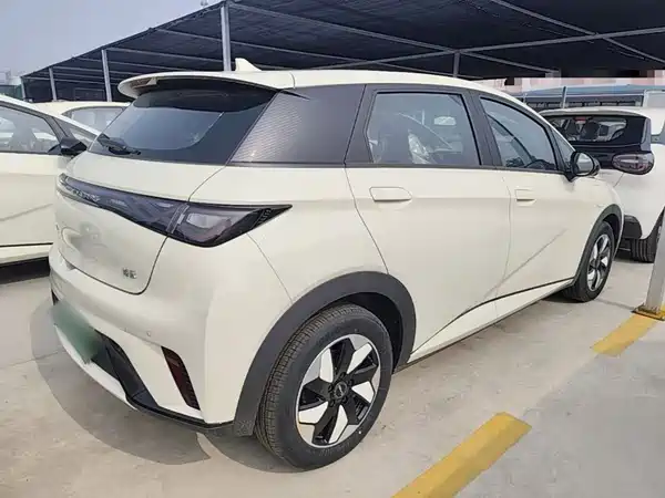 BYD Dolphin 2026