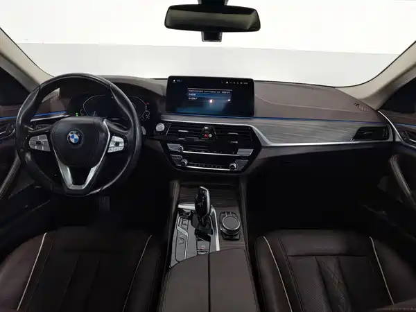 BMW 5 Series New Energy 2021