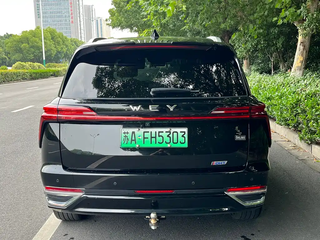 Wey Lanshan 2024