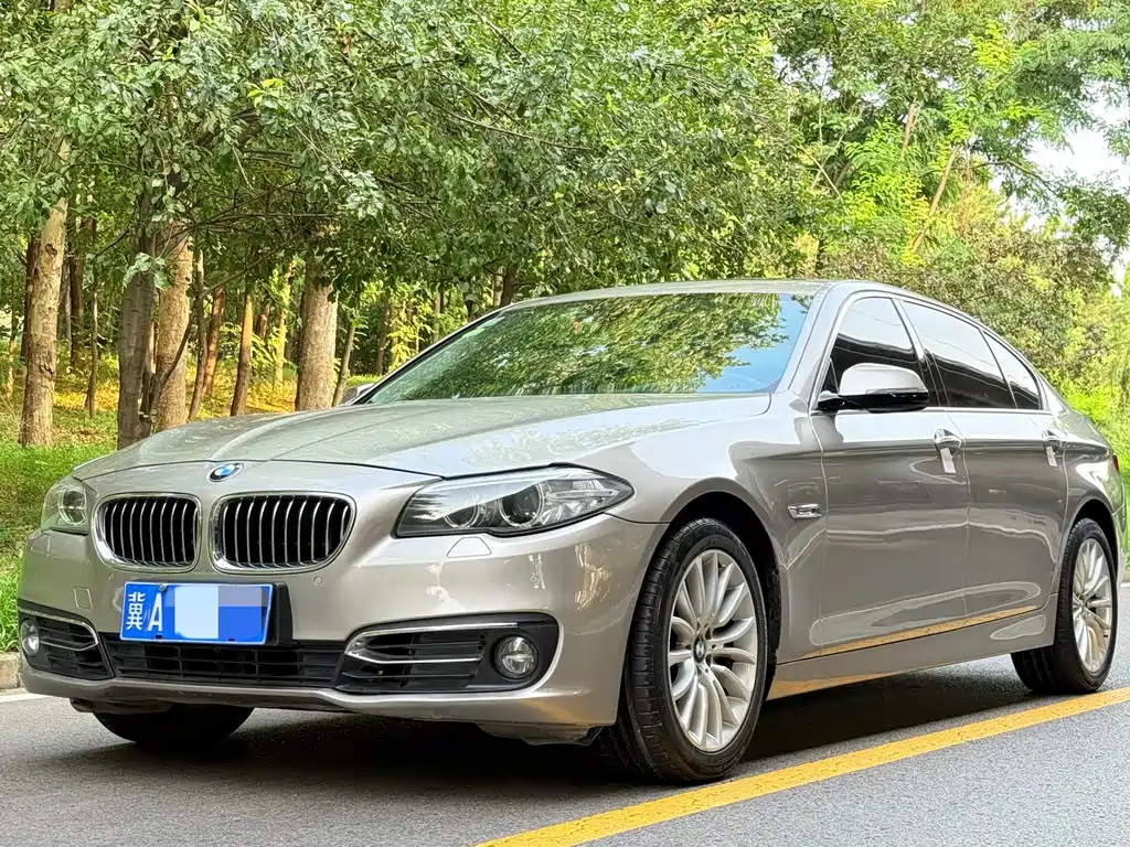 BMW 5 Series 2015