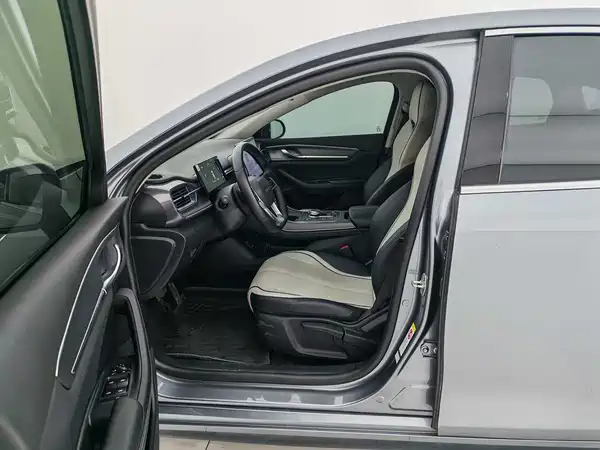 BYD Destroyer 05 2024