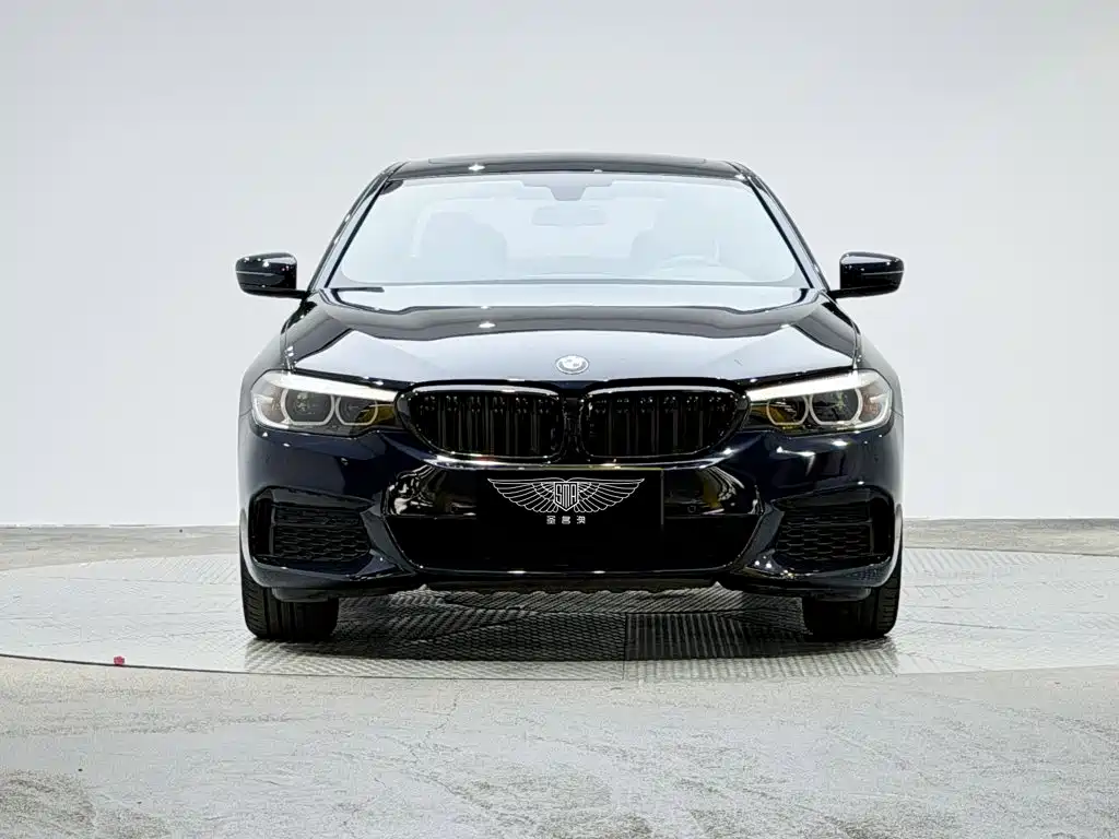 BMW 5 Series 2019