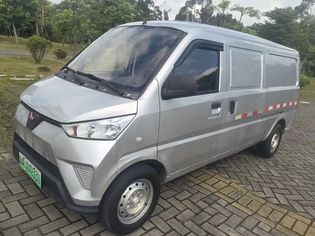 Wuling EV50 2022