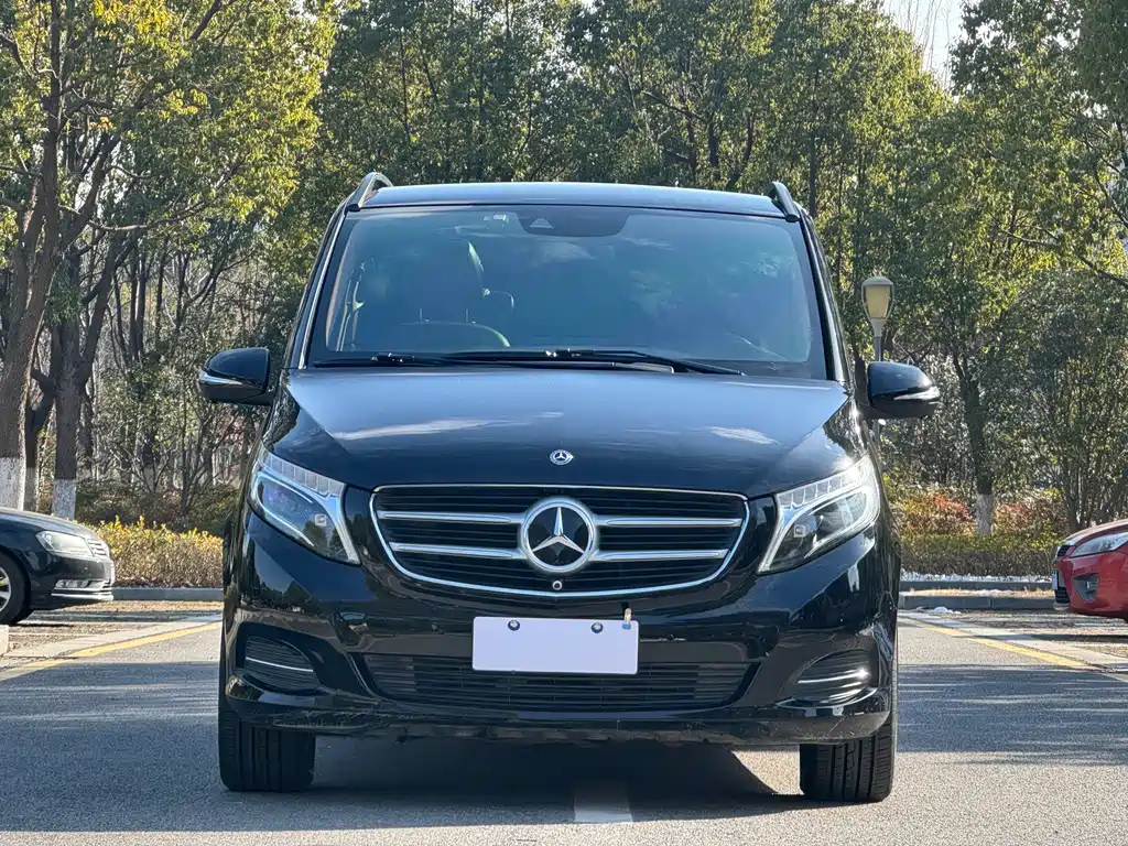 Mercedes-Benz V-Class 2019 — фото 2