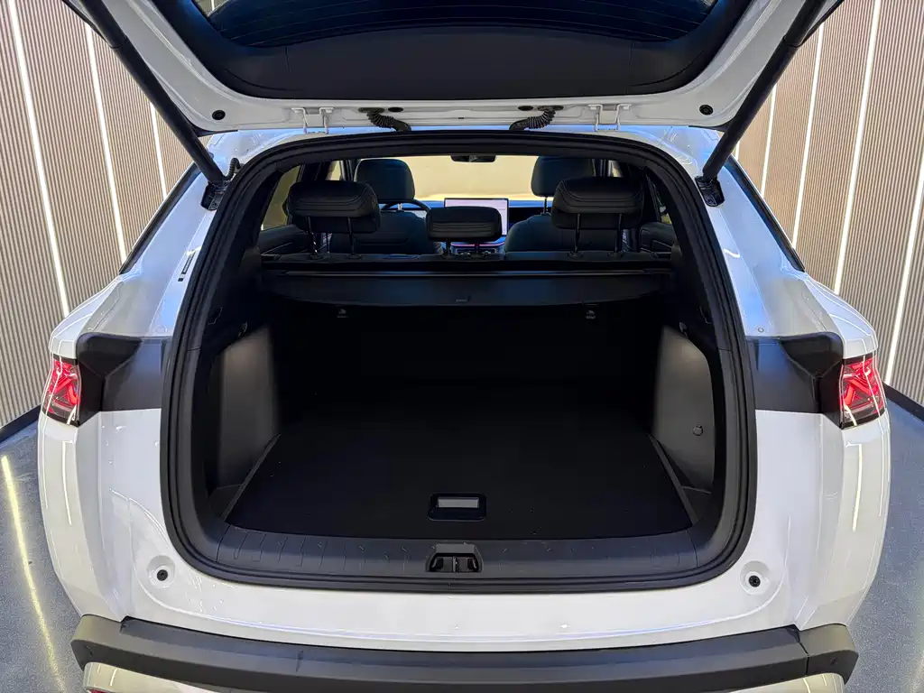 BYD L DM-i 2025 — фото 14