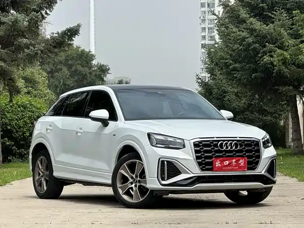 Audi Q2L 2022