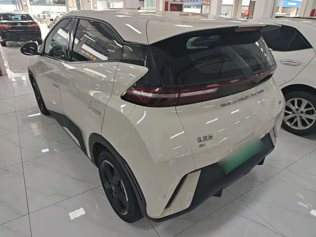 BYD Seagull 2024