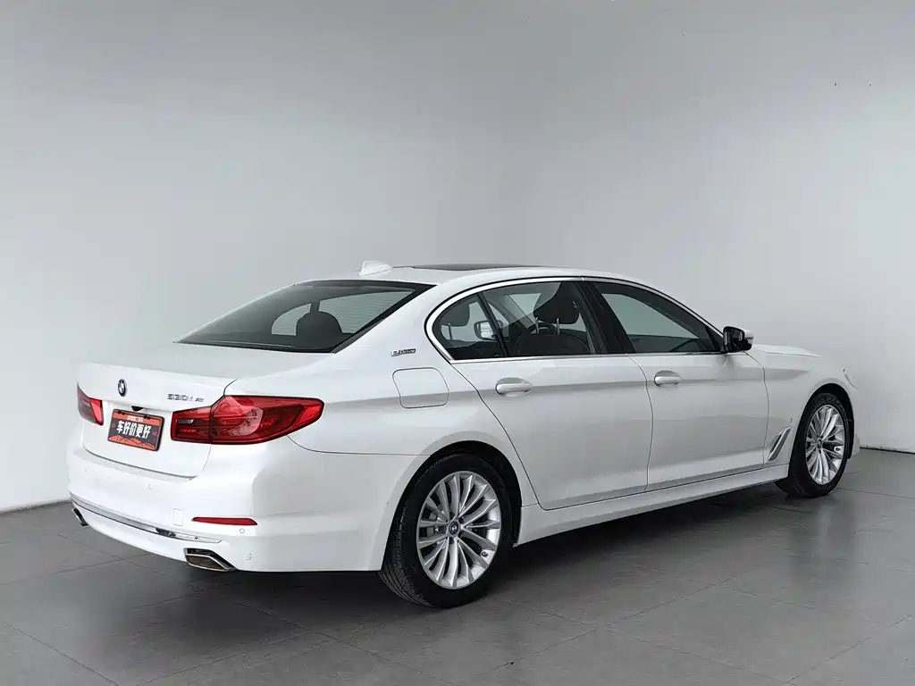 BMW 5 Series New Energy 2019