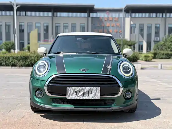 MINI MINI 2019