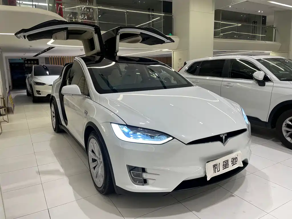 Tesla Model X 2018 — фото 3