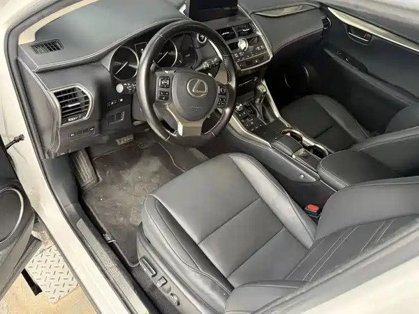 Lexus NX 2020