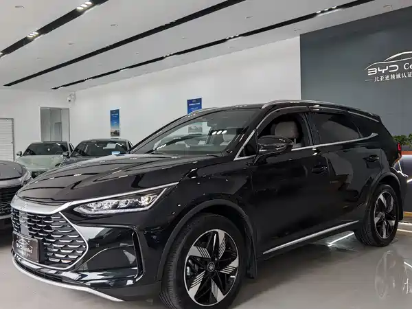 BYD Tang New Energy 2024