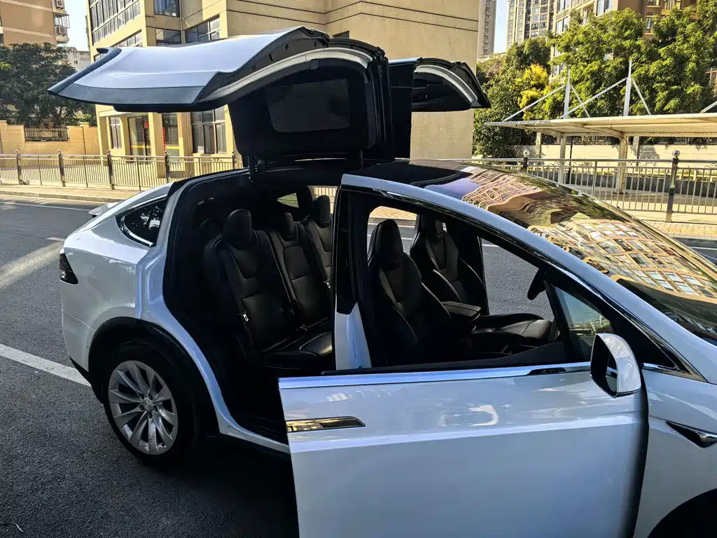 Tesla Model X 2018 — фото 5