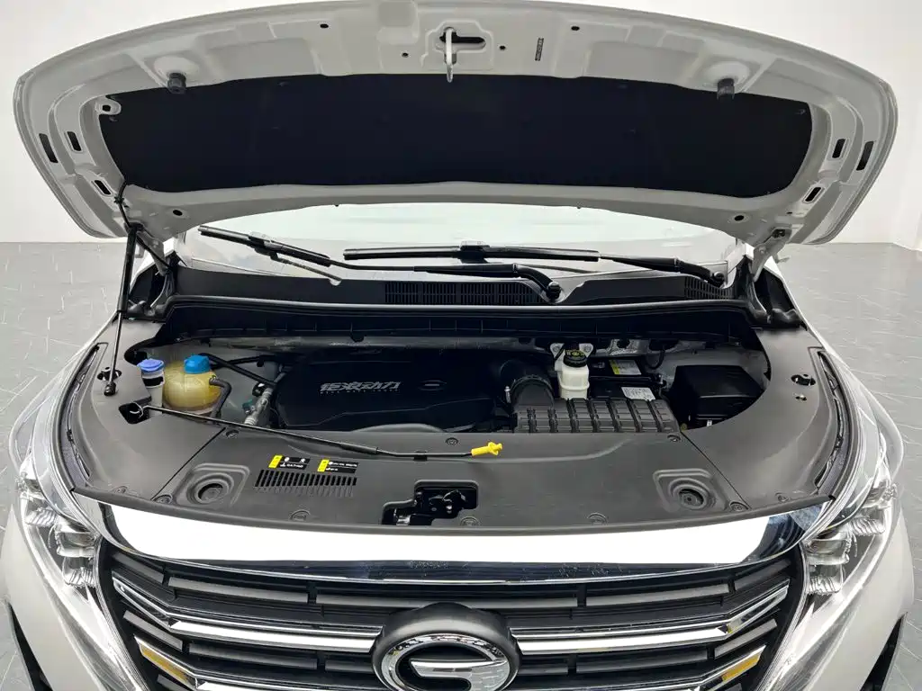 GAC Trumpchi M8 2024 — фото 11