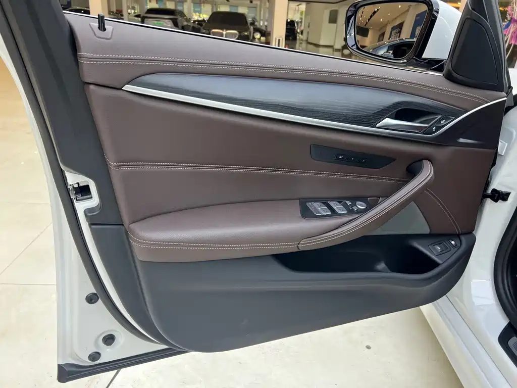 BMW 5 Series New Energy 2022