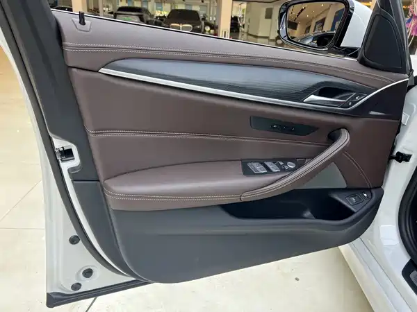 BMW 5 Series New Energy 2022