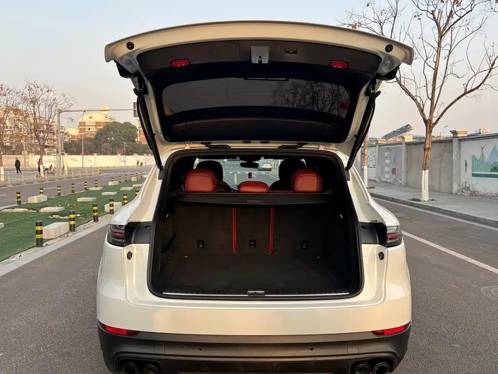 Porsche Cayenne 2019 — фото 18