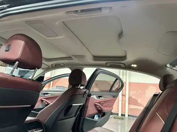 BMW 5 Series 2021