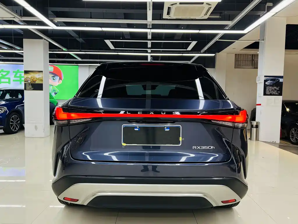 Lexus RX 2023 — фото 11