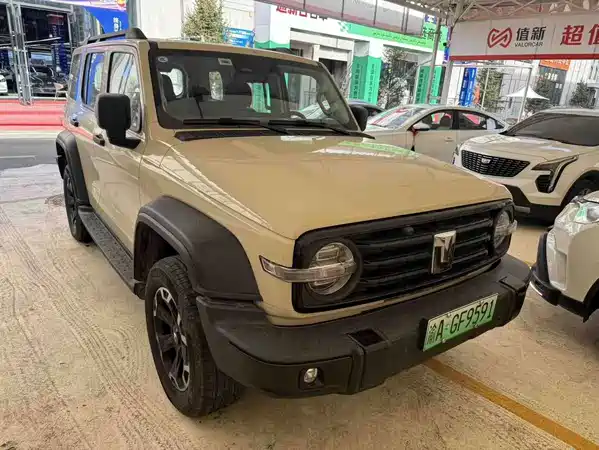 Tank 300 New Energy 2025