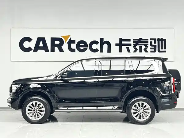 Tank 500 New Energy 2024